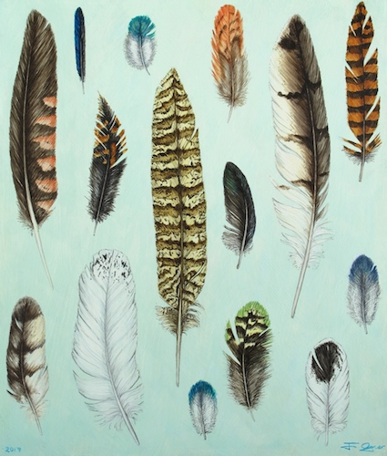 Solander Gallery NZ Feather Collection